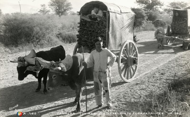 Carreta de bueyes en Oaxaca