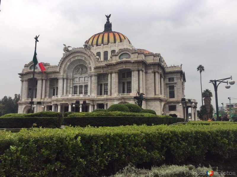 Bellas Artes