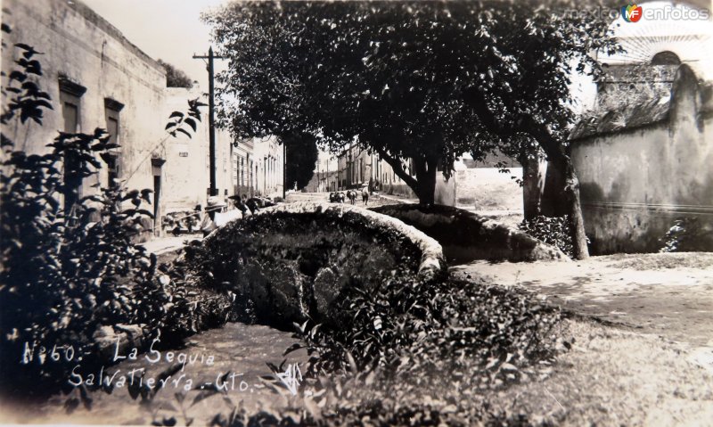 El acequia