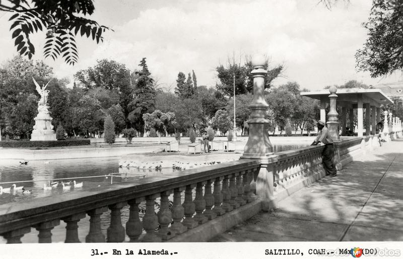 Alameda de Saltillo