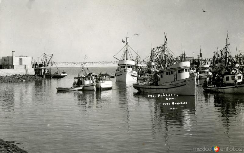 Botes en Puerto Peñasco