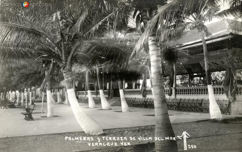 Palmeras y terraza de Villa del Mar