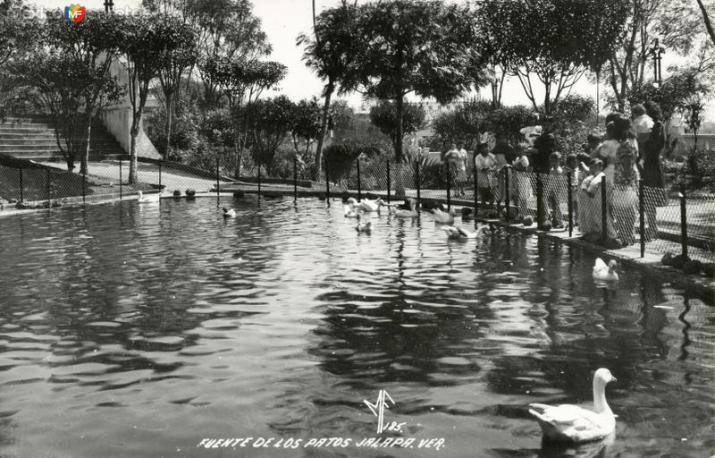 Fuente de los Patos