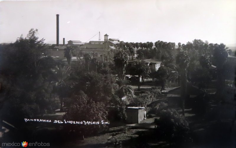 Panoramica del Ingenio.