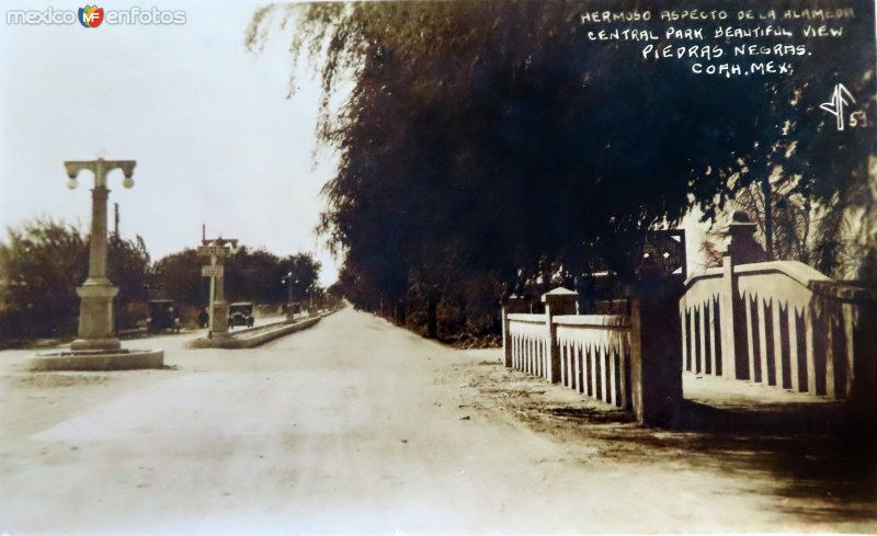 Hermoso aspecto de la Alameda. ( Circulada el 25 de Febrero de 1931 ).