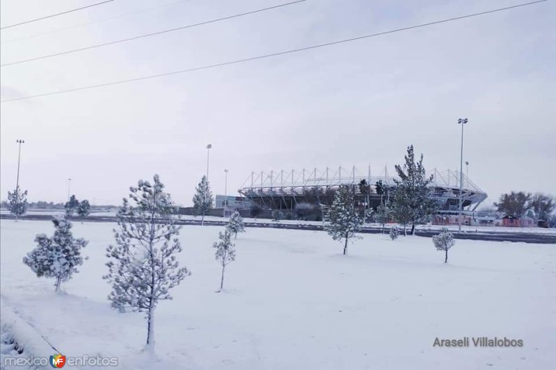 Gran Estadio Delicias, ciudad Delicias.