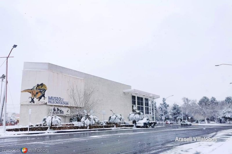 Museo de Paleontología, ciudad Delicias.