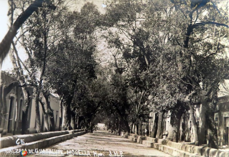 Calzada de  Guadalupe.