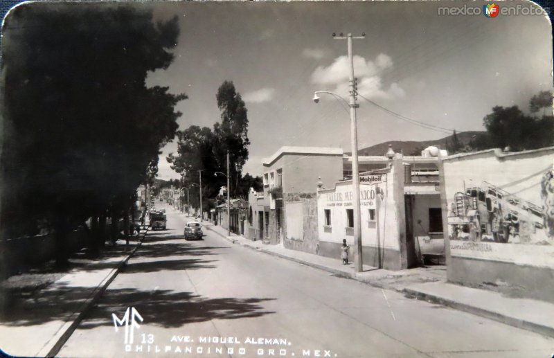 Avenida Miguel Aleman.
