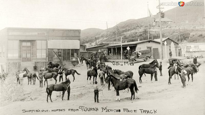 Transporte de caballos del hipódromo hacia Estados Unidos