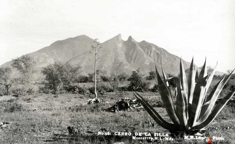 Cerro de la Silla