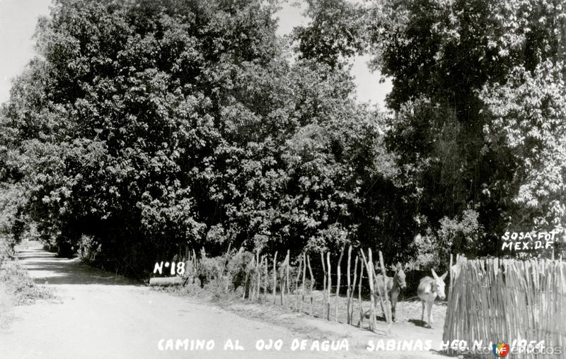 Camino al Ojo de Agua