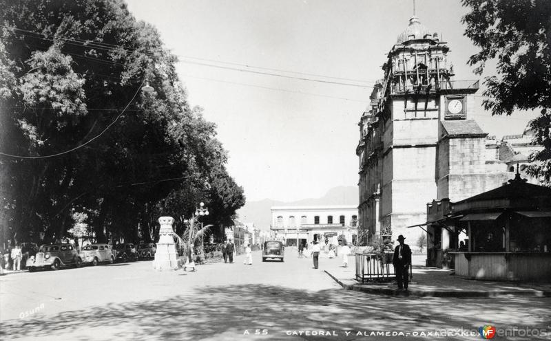 Catedral y Alameda