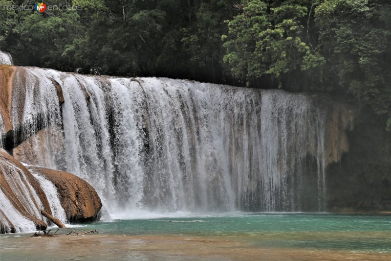 Cascadas de Agua Azul