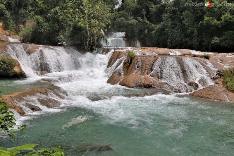 Cascadas de Agua Azul