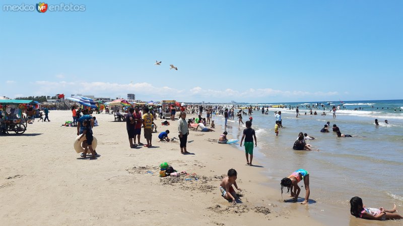 Playa Miramar