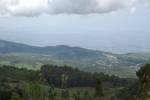 Acala Acala