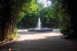 Parque Xicoténcatl Parque Xicoténcatl