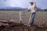 Agricultura Ganadería y Pesca