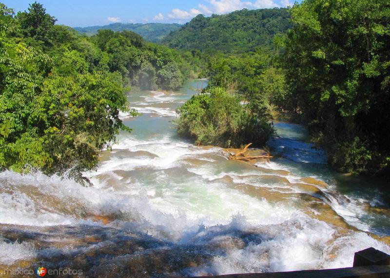 Fotos de Cascadas De Agua Azul, Chiapas: Cascadas de Agua Azul