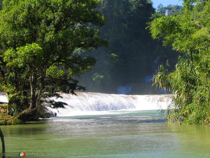 Fotos de Cascadas De Agua Azul, Chiapas: Cascadas de Agua Azul
