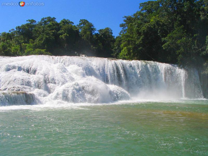 Fotos de Cascadas De Agua Azul, Chiapas: Cascadas de Agua Azul