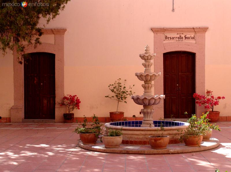 Fotos de Ciudad Lerdo, Durango: Patio