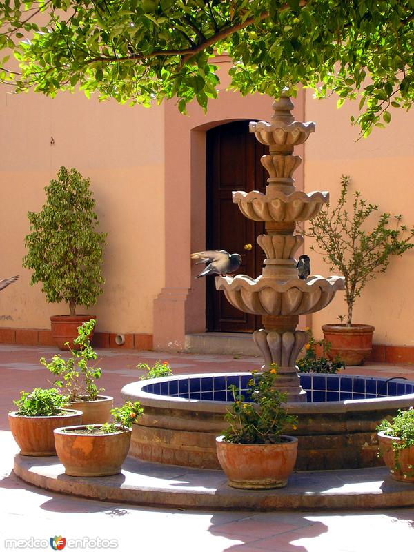 Fotos de Ciudad Lerdo, Durango: Fuente