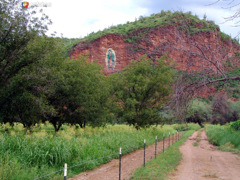 Fotos de Magdalena De Kino, Sonora: Virgen de Guadalupe