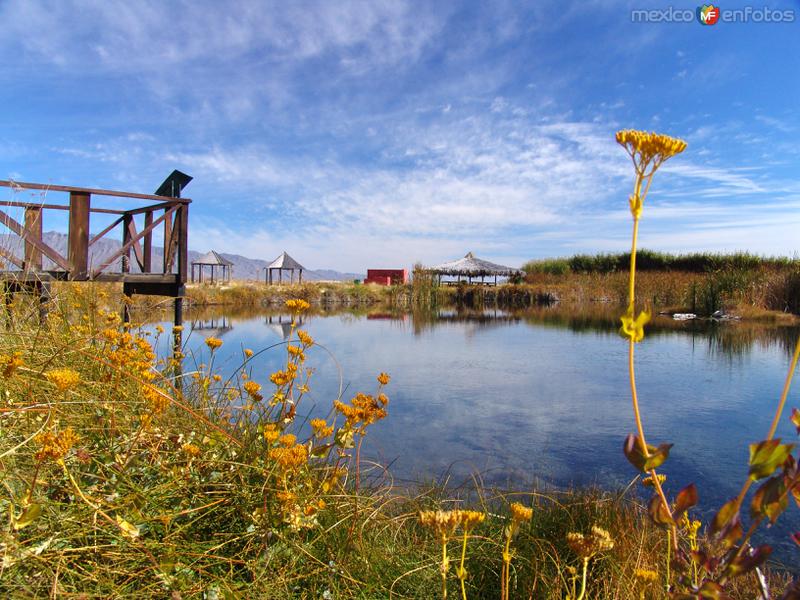 Fotos de Cuatro Ciénegas, Coahuila: Santuario de Tortugas