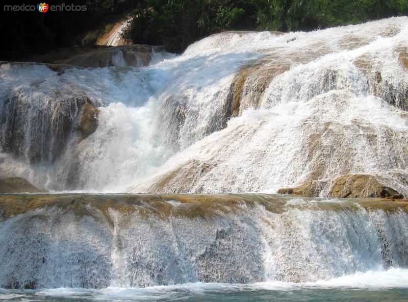 Fotos de Cascadas De Agua Azul, Chiapas: Cascadas de Agua Azul
