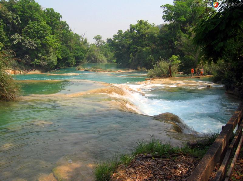Fotos de Cascadas De Agua Azul, Chiapas: Cascadas de Agua Azul