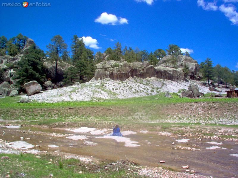 Fotos de Cusárare, Chihuahua: Bosques