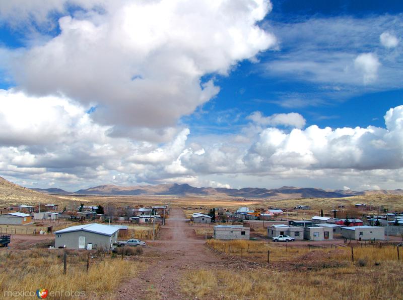 Fotos de Janos, Chihuahua: Vista panorámica de Janos