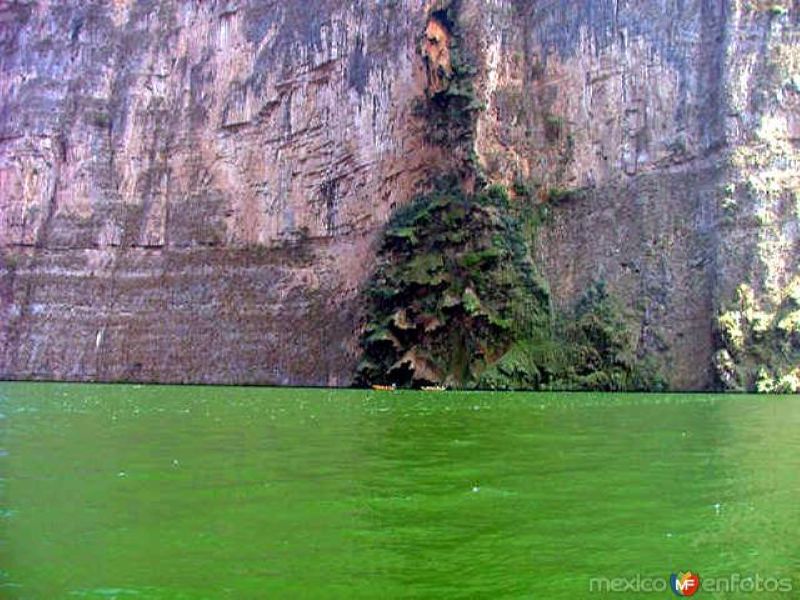 Fotos de Cañón Del Sumidero, Chiapas: Cascada Árbol de Navidad (sin agua)