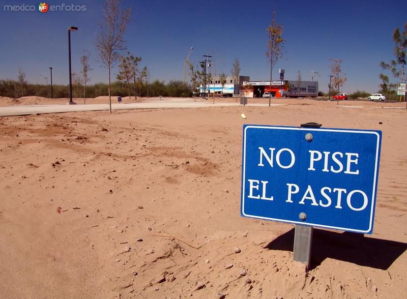 Fotos de Torreón, Coahuila: Sin palabras
