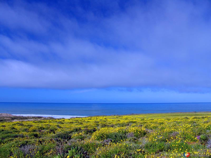 Fotos de San Quintín, Baja California: Océano Pacífico