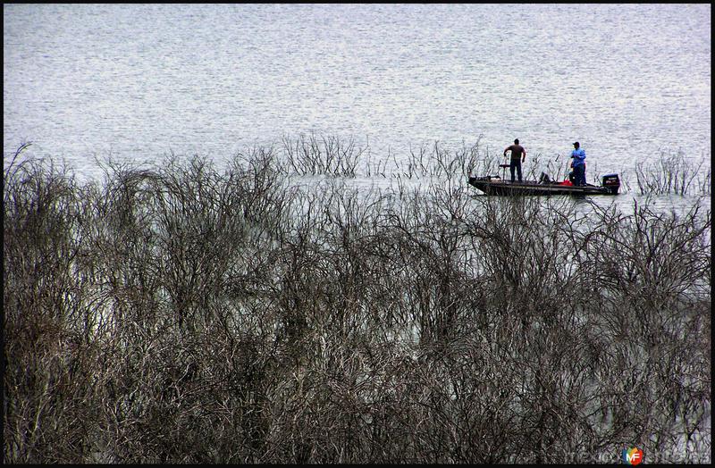 Fotos de Camargo, Tamaulipas: Presa Marte R: Gòmez