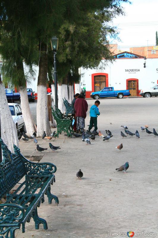 Fotos de Guadalupe, Zacatecas: PLAZA DE GUADALUPE