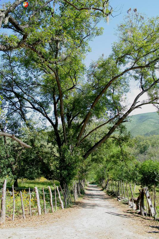 Fotos de Aramberri, Nuevo León: PAISAJES DE ARAMBERRI