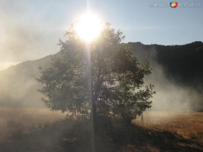 Fotos de Sierra La Laguna, Baja California Sur: primeros rayos de sol en el 2do. valle
