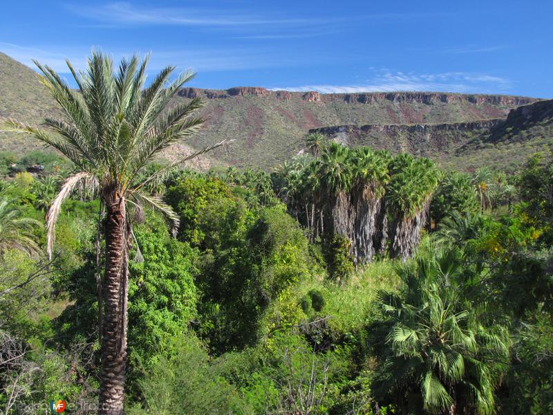 Fotos de San José De Comondú, Baja California Sur: Oasis en la Sierra de la Giganta