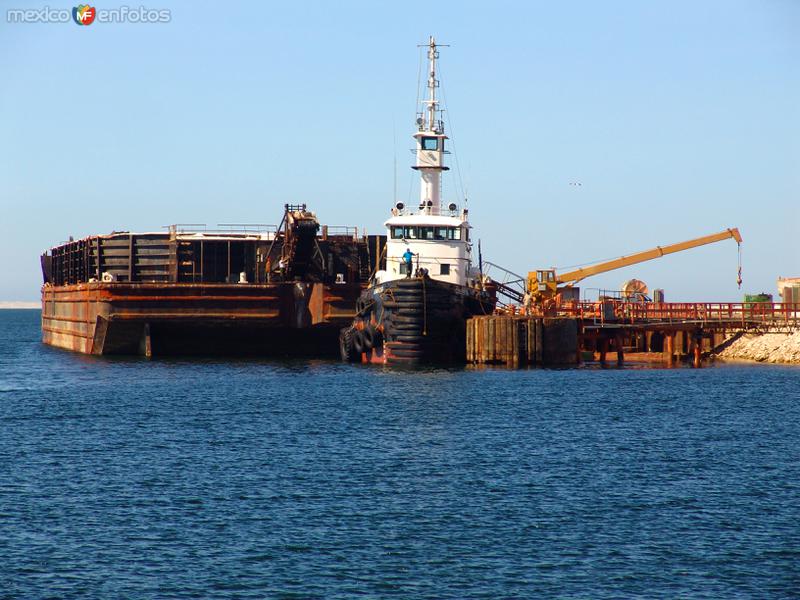 Fotos de Guerrero Negro, Baja California Sur: Embarcaciones