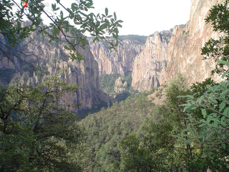 Fotos de Ocampo, Chihuahua: Cascada de Basaseachic