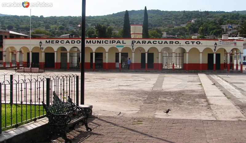 Fotos de Parácuaro, Guanajuato: Mercado