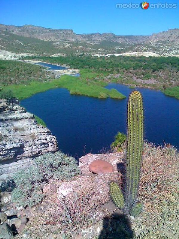 Fotos de La Purísima, Baja California Sur: EL PILÓN