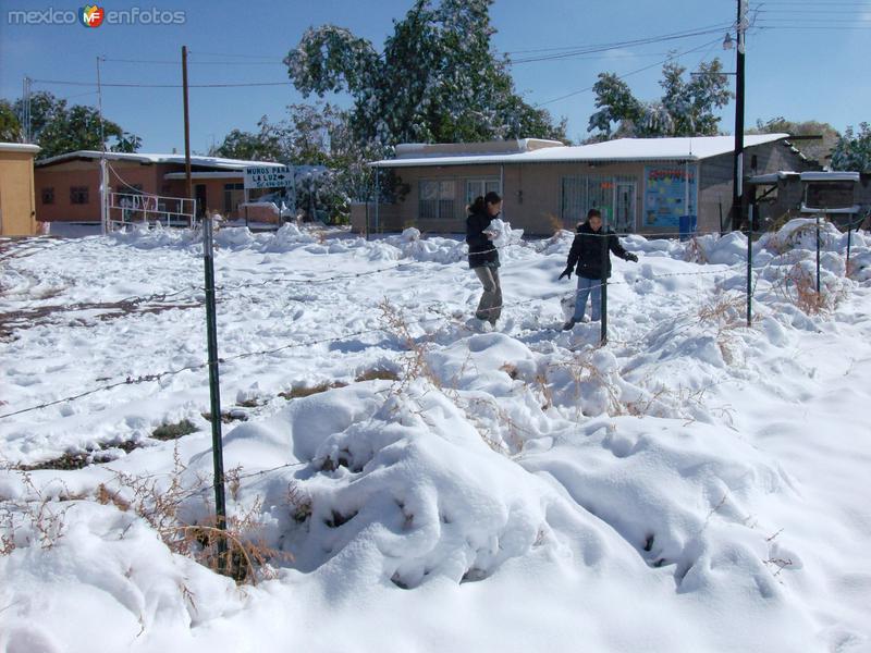 Fotos de Buenaventura, Chihuahua: Buenaventura se viste da blanco