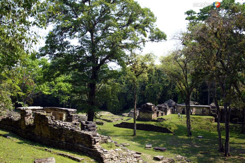 Fotos de Yaxchilán, Chiapas: Zona arqueologica de Yaxchilan