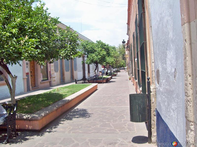 Fotos de Lagos De Moreno, Jalisco: Callejon
