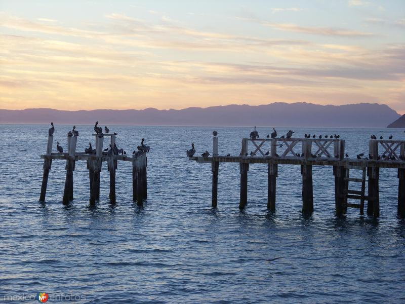 Fotos de Bahía De Kino, Sonora: kino viejo